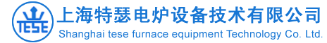 上海特瑟電爐設備技術有限公司